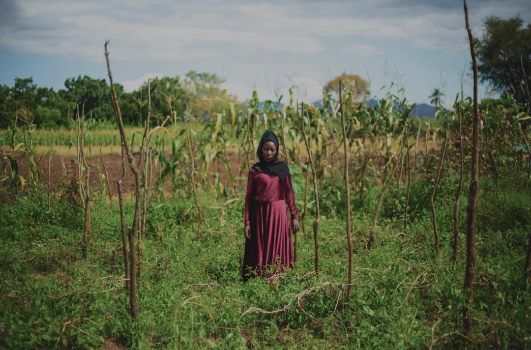 Mariam Kibwana had always been ambitious about her tomato farming.